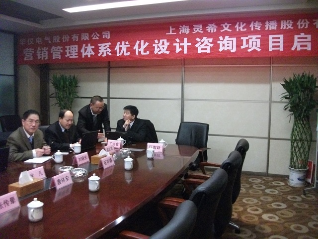 華儀電氣股份有限公司營銷管理體系優(yōu)化設(shè)計咨詢項目